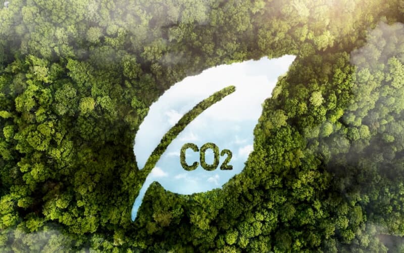View of green forest trees with co2. View of green forest trees with co2.